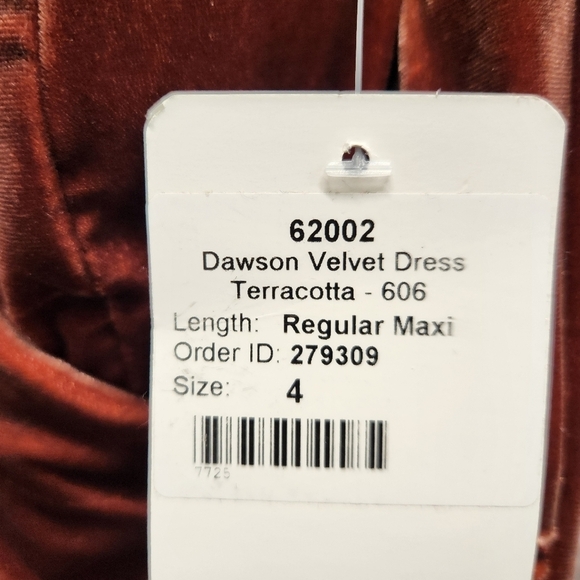 NWT Revelry Dawson Velvet Regular Maxi Dress Terracotta  Dress Size 4 - Picture 8 of 12